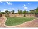 Lush green turf and a well-maintained block fence define this backyard retreat at 1755 E Tonto Dr, Chandler, AZ 85249