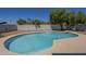 Private swimming pool surrounded by mature trees and grass in the backyard at 17848 N 34Th Ln, Phoenix, AZ 85053