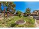 A well-maintained backyard featuring a grass lawn, a swing set and mature trees at 3343 W Lone Cacuts Dr, Phoenix, AZ 85027