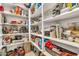 Walk-in pantry offering ample storage space and organization for dry goods and small appliances at 4455 W Suncup Dr, San Tan Valley, AZ 85144