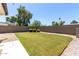Well-maintained backyard with a manicured lawn, mature trees, and privacy fence, perfect for outdoor activities at 5211 E Winchcomb Dr, Scottsdale, AZ 85254