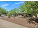 A lush front yard featuring mature trees, desert landscaping, and a charming single-story home at 7202 N 16Th Dr, Phoenix, AZ 85021