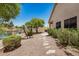 Lush backyard featuring a lakeside view, stone pathway, mature trees, and low maintenance landscaping at 786 S Catalina St, Gilbert, AZ 85233