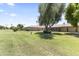 The property features a vast backyard with mature trees providing ample shade at 9434 W Greenway Rd, Sun City, AZ 85351