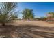 Property with desert landscaping and blue skies at 9735 W Altadena Dr, Casa Grande, AZ 85194