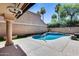 Private backyard pool area with lush palms and a covered patio; ideal for relaxation and outdoor gatherings at 11217 E Laurel Ln, Scottsdale, AZ 85259