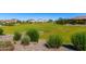 Well-maintained green space with lush grass, shrubs, and trees for community enjoyment at 18908 W Montebello Ave, Litchfield Park, AZ 85340