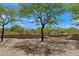 Secluded backyard features a hammock, mature trees, and a dry creek bed design, perfect for relaxation at 31825 N 141St St, Scottsdale, AZ 85262