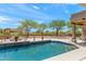 Luxurious backyard with a sparkling pool, lounge chairs, a pergola, and drought-tolerant plants, creating a serene retreat at 31825 N 141St St, Scottsdale, AZ 85262