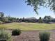 Expansive community park with grassy open space, a playground and walking paths at 3810 N 106Th Dr, Avondale, AZ 85392