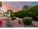 Serene backyard with manicured shrubs, decorative rocks, and a view of the patio area at 4637 E Narrowleaf Dr, Gilbert, AZ 85298