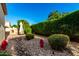 Low maintenance backyard landscaping with decorative rocks, gravel, and patio view at 4637 E Narrowleaf Dr, Gilbert, AZ 85298
