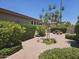 Secluded backyard featuring mature trees, lush hedges, and stone table with benches at 549 E Benrich Dr, Gilbert, AZ 85295