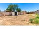Large backyard with storage shed and mature tree, perfect for outdoor activities at 6335 W Osborn Rd, Phoenix, AZ 85033