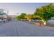 Long driveway lined with trees at dusk leading to the property, partially bordered with wood fencing at 8043 E Laurel St, Mesa, AZ 85207