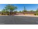 View of the decorative gated entrance with desert landscaping of the property, including a large tree and various cacti at 8043 E Laurel St, Mesa, AZ 85207