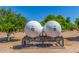 Large propane tanks in the yard with trees at 8043 E Laurel St, Mesa, AZ 85207