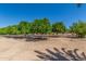 Trees planted in rows in a large dirt lot at 8043 E Laurel St, Mesa, AZ 85207
