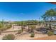 A scenic view of desert landscape featuring cacti, trees, and mountains in the distance at 8043 E Laurel St, Mesa, AZ 85207