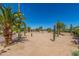 Desert landscape, showcasing palm trees and cactus at 8043 E Laurel St, Mesa, AZ 85207