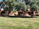 Exterior of building overlooking grassy area, benches, and mature shade trees at 8940 W Olive Ave # 39, Peoria, AZ 85345