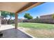Spacious backyard features a covered patio, green lawn, block fence and mature trees offering a private outdoor oasis at 1359 E 12Th St, Casa Grande, AZ 85122
