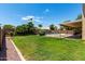 Grassy backyard with refreshing pool and landscaping at 1403 W Goldfinch Way, Chandler, AZ 85286