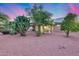 Landscaped backyard with gravel, mature trees, and solar panels on the roof at 17911 N Adobe Mesa Ct, Surprise, AZ 85374