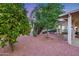 Landscaped backyard with mature trees and access to the covered patio at 17911 N Adobe Mesa Ct, Surprise, AZ 85374
