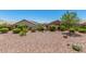 Open backyard featuring gravel, mature shrubs, and privacy, creating a tranquil outdoor setting at 22403 W Harrison St, Buckeye, AZ 85326
