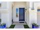 Close-up of the front door, enhanced by stylish potted plants and modern design, creating a warm entry at 389 W Fairway Pl, Chandler, AZ 85225