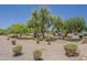 Well-manicured front yard with mature trees, shrubs, and desert landscaping at 5735 E Mcdowell Rd # 108, Mesa, AZ 85215