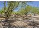 View of the desert landscaped yard with mature trees and arid plants at 5735 E Mcdowell Rd # 108, Mesa, AZ 85215