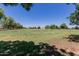 Expansive green space featuring trees and open field at 1133 N 84Th Pl, Scottsdale, AZ 85257