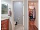 Bathroom featuring a toilet, vanity, and walk-in closet at 1145 E Winchester Pl, Chandler, AZ 85286