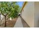 Clean side yard with a well-maintained walkway, gravel landscaping, and mature trees at 1145 E Winchester Pl, Chandler, AZ 85286