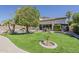 Large backyard with a sparkling pool, mature trees, manicured grass, and outdoor dining area at 1441 E Folley Pl, Chandler, AZ 85225