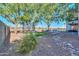 Lush backyard with a trampoline, pool, trees, and manicured landscaping at 20139 N Bustos Way, Maricopa, AZ 85138