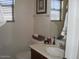 Bathroom with a sink, mirror, and a toilet under a woven basket holding the toilet paper at 21050 E Munoz St, Queen Creek, AZ 85142