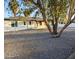 Well-kept single-story home with low-maintenance gravel landscaping and mature tree at 3421 W Montecito Ave, Phoenix, AZ 85017