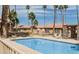 Resort-style pool with palm trees and poolside seating in a well-maintained community setting with desert landscaping at 3511 E Baseline Rd # 1098, Phoenix, AZ 85042