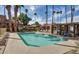 A well-maintained community pool area offers a relaxing oasis surrounded by mature palm trees and comfortable lounge chairs at 3511 E Baseline Rd # 1098, Phoenix, AZ 85042