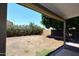 Empty backyard with grass border and block wall at 705 W Country Estates Ave, Gilbert, AZ 85233