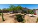 Backyard with well-established landscaping and a spacious layout offering potential for customization at 7403 W Montebello Ave, Glendale, AZ 85303