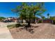 View of home showing brick driveway, mature tree, and partial view of front facade with gated motor court at 7403 W Montebello Ave, Glendale, AZ 85303