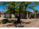 Home exterior with well-maintained desert landscape and hardscape, mature tree, and gated brick motor court at 7403 W Montebello Ave, Glendale, AZ 85303