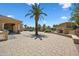 Well-maintained community courtyard and lounge with desert landscaping and mature palm trees at 1367 S Country Club Dr # 1221, Mesa, AZ 85210