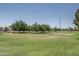 Lush grassy field with scattered trees and volleyball net, perfect for outdoor activities at 1541 E Glencove St, Mesa, AZ 85203