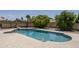 Backyard pool with diving board, lush trees, and refreshing blue water at 1541 E Glencove St, Mesa, AZ 85203