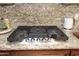 Modern stovetop with granite countertops and stainless steel accents at 3581 S Arizona Pl, Chandler, AZ 85286